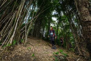 BIB: 
                            <button type="button" onclick="openModal(19395892)" class="btn btn-primary btn-sm float-right btn-popup" data-toggle="modal" data-target=".modal-high-quality">
                        <i class="fas fa-shopping-cart"></i> Add to Cart
                    </button>
                                            <button type="button" onclick="isThisMe(19395892, true)" class="btn btn-success btn-sm float-right btn-popup btn-isme hidden" data-toggle="tooltip" data-placement="bottom" title="นี่คือรูปของคุณใช่ไหม คลิกที่นี่เพื่อเอาเข้าอัลบั้ม">
                        <i class="fas fa-plus"></i> Add to album
                    </button>
                    <button type="button" onclick="isThisMe(19395892, false)" class="btn btn-warning btn-sm float-right btn-popup btn-isnotme hidden">
                        <i class="fas fa-ban"></i> Remove from album
                    </button>